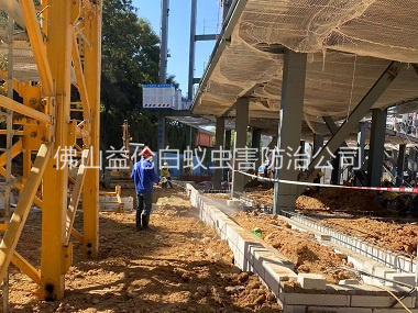 迳口建房工程防白蚁