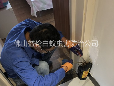 芦苞住宅白蚁防治工程