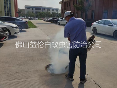六和登革热防控消杀工程